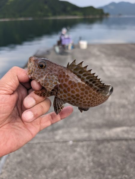 陸っぱり釣行記
