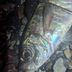 フロートアジング