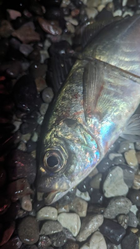 フロートアジング