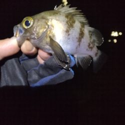 たまには外れる