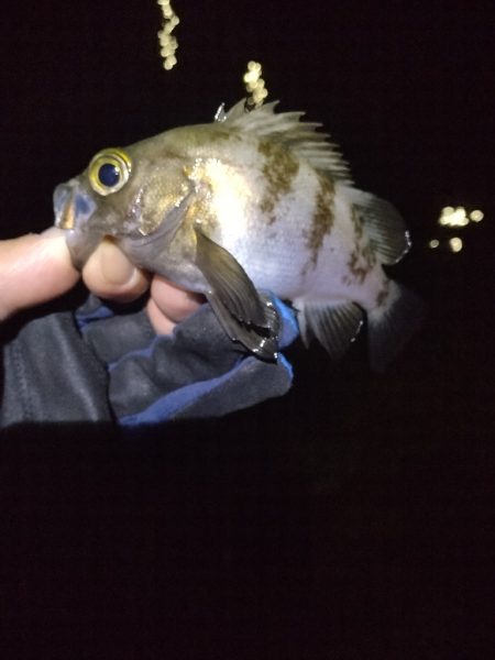 たまには外れる