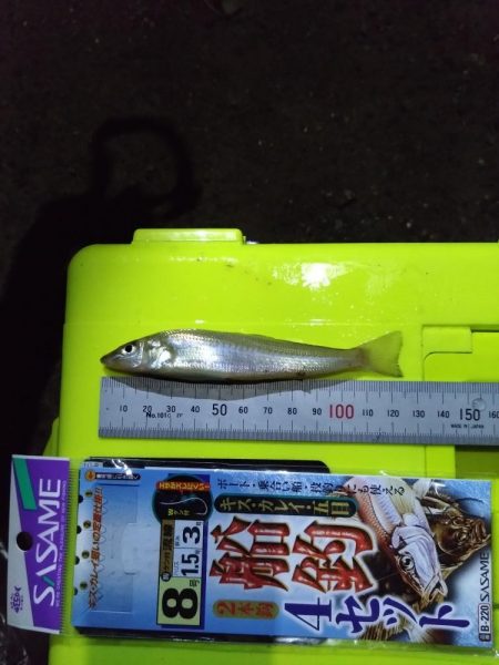 キス釣り大会エントリー