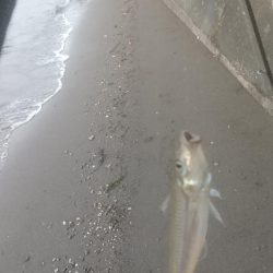 ここはまだ行けそう