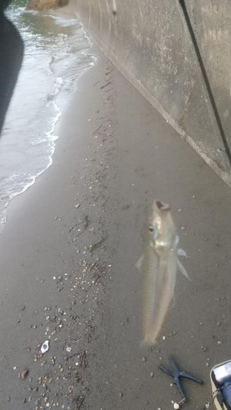 ここはまだ行けそう