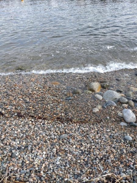 キジハタ1匹!カサゴ1匹!