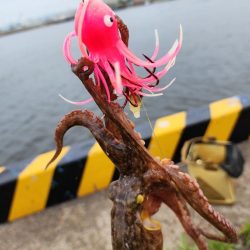 オクトパッシング