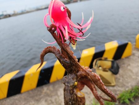 オクトパッシング