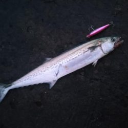 シャワーを浴びながら