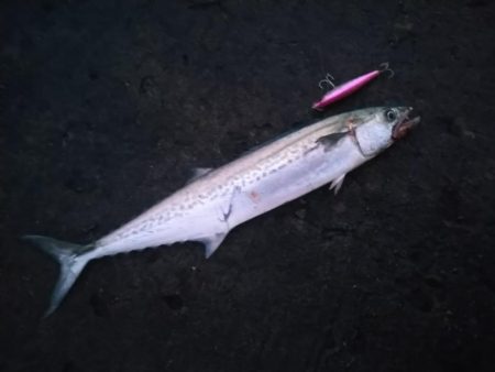 シャワーを浴びながら