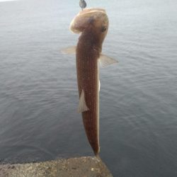 雨の日の釣りは