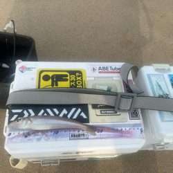 夕方の短時間釣行でしたが釣れました