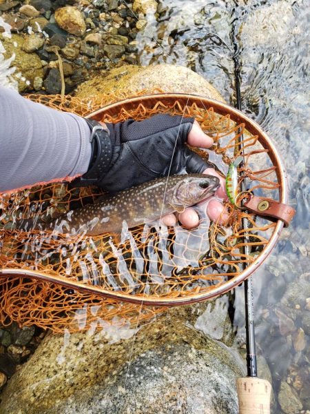 渇水ひどいので川選びですねー