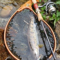 大荒れ続きで雨あとに期待