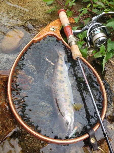 大荒れ続きで雨あとに期待