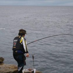 和歌山市江(吉丸渡船)でグレ釣り