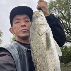 筑後川でランカーシーバス