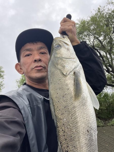 筑後川でランカーシーバス