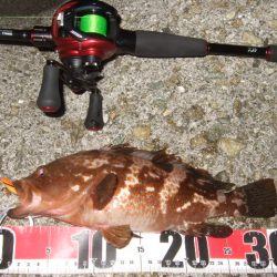 数は出たものの