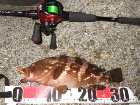 数は出たものの