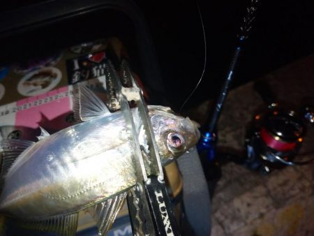 青色ロッドの鱗付け