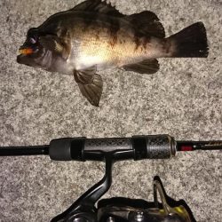 激難メバリング