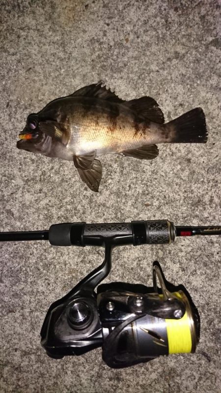 激難メバリング