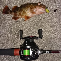 モンスター捕獲