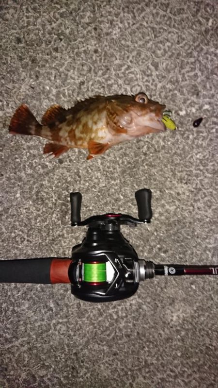 モンスター捕獲