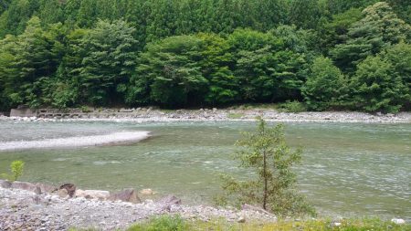 増水でイワナが高活性【天川】