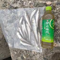 高活性だが···