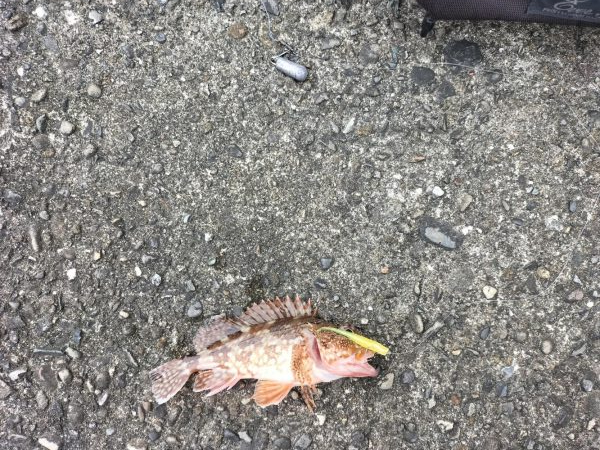 和歌山三重遠征初日