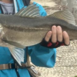 梅雨の増水濁りでリフレッシュ!