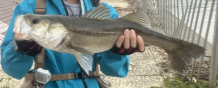 梅雨の増水濁りでリフレッシュ!