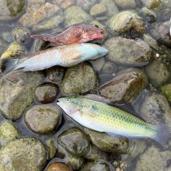 過ごしやすい天気