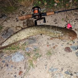 夜はやっぱり強い