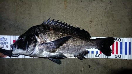 2024/06/28 南港ヘチ釣り釣行（短…