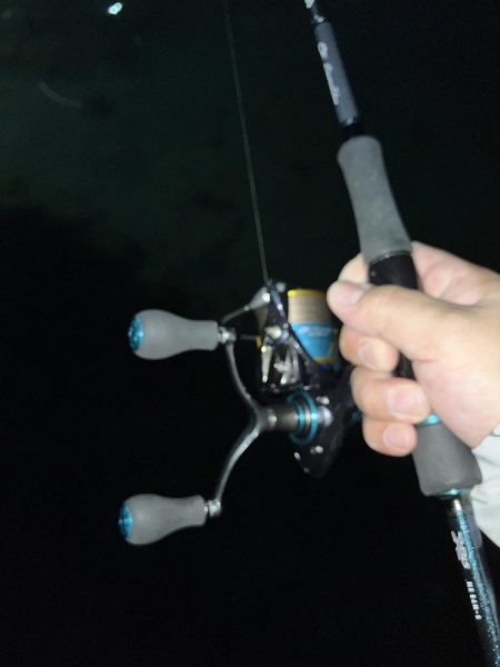 シーバス狙いからの…