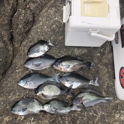 須江港から沖磯