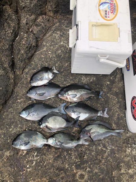 須江港から沖磯