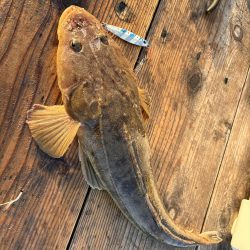 筏ショアジギング