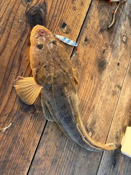 筏ショアジギング