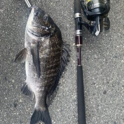 久しぶりの釣りにて。