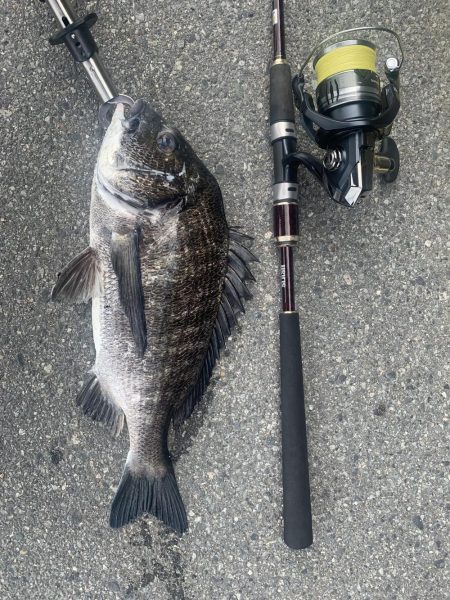 久しぶりの釣りにて。