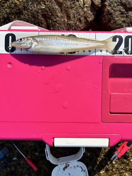 キス&フラット求めて