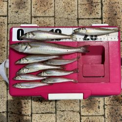 梅雨の晴れ間に！