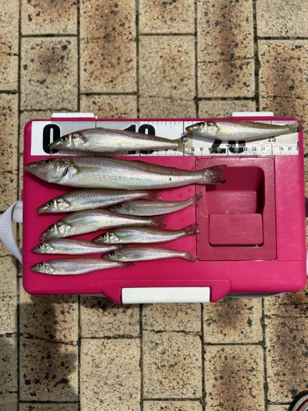 梅雨の晴れ間に！