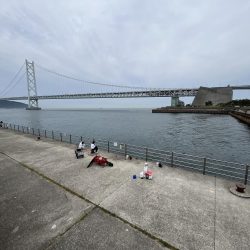 まだまだサビキには厳しい