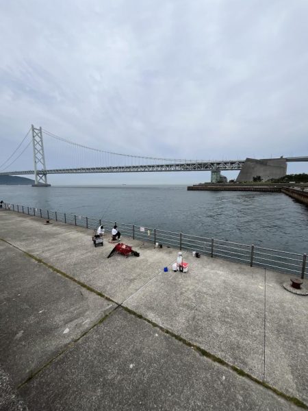 まだまだサビキには厳しい