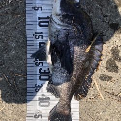 78匹‼️自己新