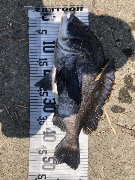 78匹‼️自己…